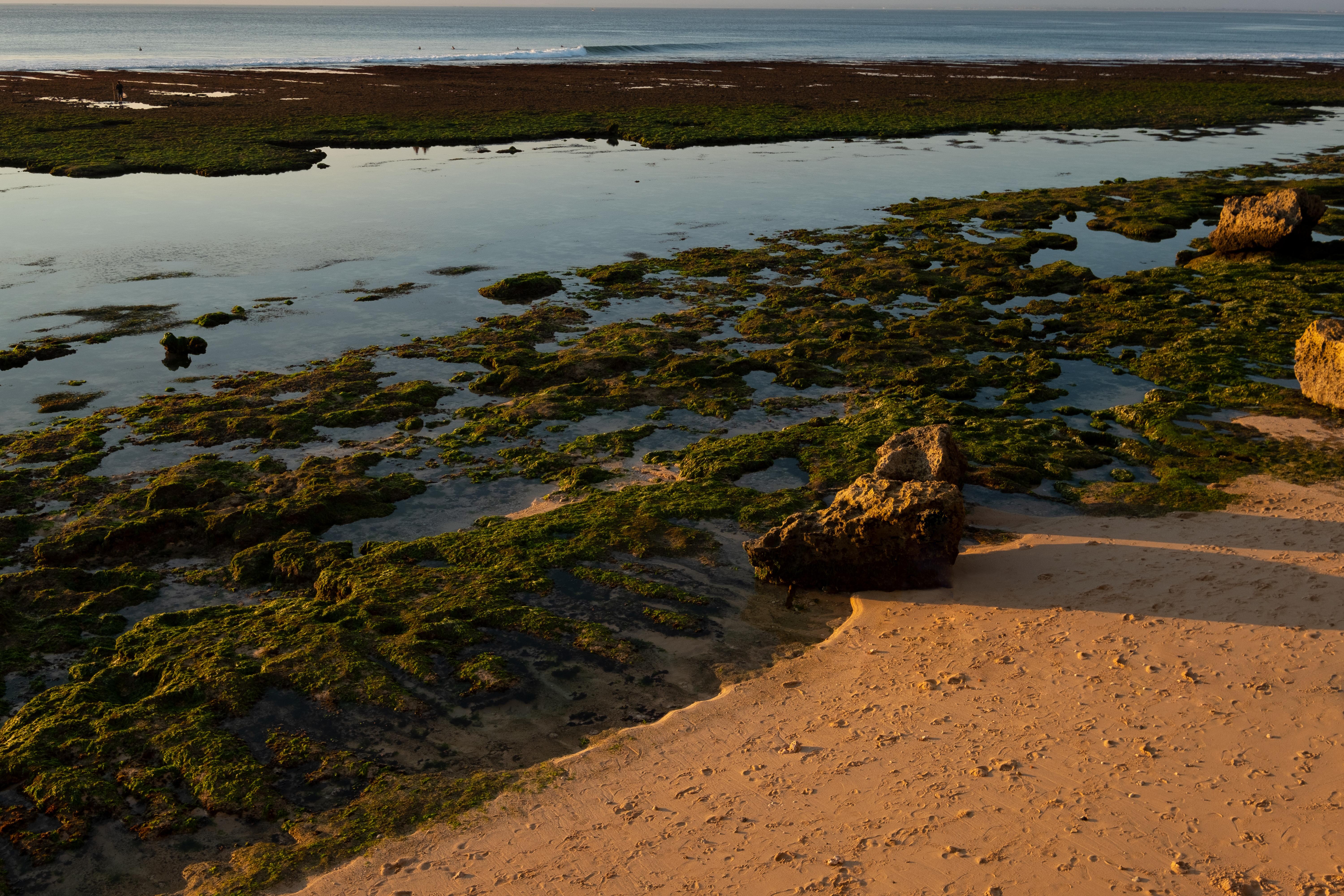 巴厘岛乌鲁瓦图安纳塔拉度假酒店 外观 照片 The bay at low tide